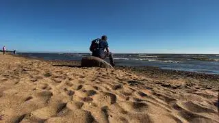Комарово, экологическая тропа