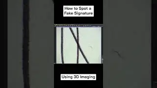 How to spot a forged signature using 3D Imaging! - foster+freeman VSC