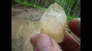 Жилы