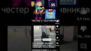 пипи