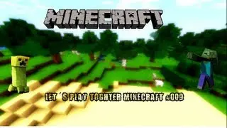 Let´s Play Toghter Minecraft #009 Minecraft will nicht so wie ich das will =(