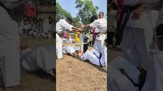 Breaking Granite Stone with GEDAN MAWASHI GERI (Tameshiwari)