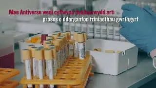 Impacting Economies | USW 10 Years of Impact
