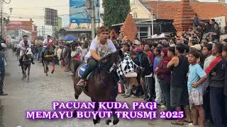 PACUAN KUDA PAGI, sebelum Arak Arakan Memayu Buyut Trusmi 2025
