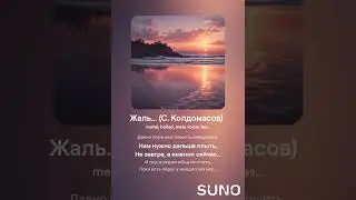 Жаль... (С. Колдомасов) (метал баллада)