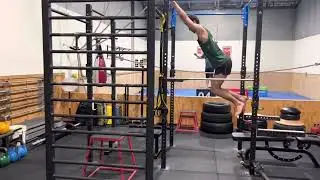 Move better | The Bear Training System |