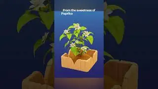 New crop in our solarpunk game 