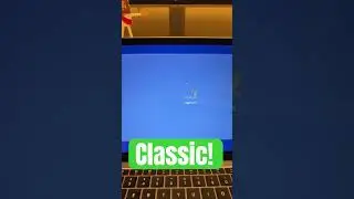 Windows XP log on and log off sound