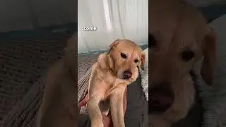 I couldn’t wake up my 
