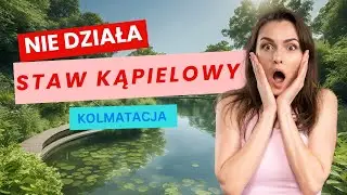KOLMATACJA, CZYLI NIE DZIAŁAJĄCE ZŁOŻE FILTRACYJNE W STAWIE KĄPIELOWYM.