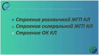 Строение роговичной ЖГП КЛ | Строение склеральной ЖГП КЛ | Строение ОК КЛ