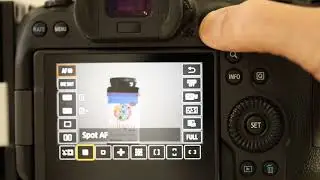 Canon Mirrorless - How To Temporarily Switch to MF (Manual Focus) While In AF (Auto Focus) Mode