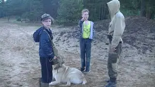 ФЛИНТ и Все, Все, Все... / Никакого Выживания просто Фантастическая приколюха