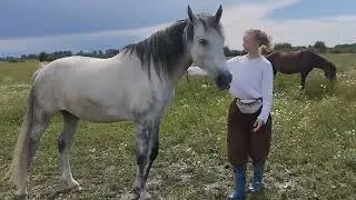 Уступки. Елизавета и Фаир.