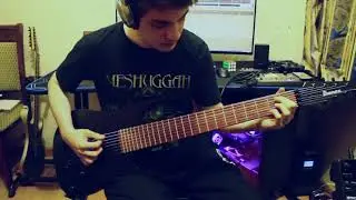 Meshuggah - 