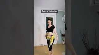 Easy Belly Dance Combination by Isabella - الرقص الشرقي 