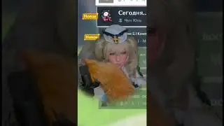 Собаки и кошки 