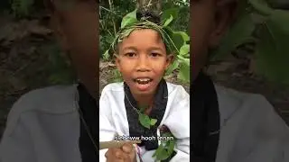 Kata-Kata Dek???? || Iks.pi kera sakti #shorts #shortvideo
