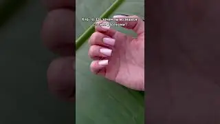 А какую форму ногтей любите вы?)           