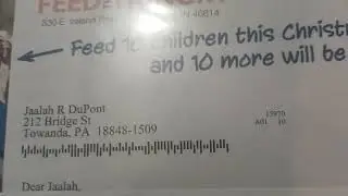 one day's junk mail