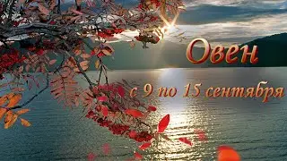 Овен Таро прогноз на неделю с 9 по 15 сентября 2024 года.