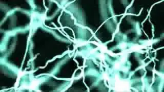Neurons