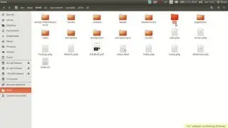How to Skip FTP Credentials on Wordpress Using Ubuntu - Video Toturial