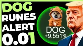 DOG GO TO THE MOON ALERTA HOLDER
