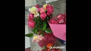 С днём Рождения меня! 😁😁😁🎂🍰🥧💐🎁🎊🎉
