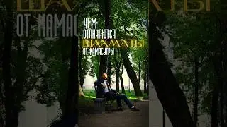 Чем отличаются 