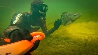 Tucunaré, Arraia e Tilápia - Atasub Pesca Sub