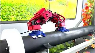 Nature Inspired Machine Intelligence from Animals to Robots