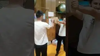 Разбивание доски 🤜🥋🗿/Breaking deck #Wingchunvl #wingchunkuen #martialartstraining #top #shorts #rus