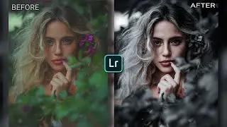 Pro black filter-Lightroom mobile tutorial | Lightroom presets | photo editing apps