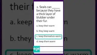 English Grammar Exercises 