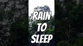 Fall Asleep with Thunder & Heavy Rain Sounds 🌩️😴