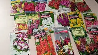 Snapdragon - the summer charm of the garden. Sowing dates. DACHA store, Kamensk-Uralsky. February...