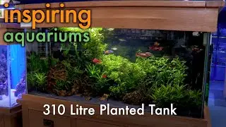 Inspiring Aquariums - 310 Litre Planted Tank