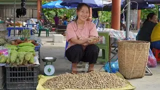 Gau harvest peanuts to sell at market, Take care of the farm waiting for Hien to come back