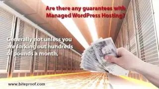 What Is Managed WordPress Hosting