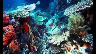 Самое удивительное вещество   водаАртёмова