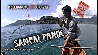 aneh tapi nyata!! melengkung 💯 drazat joran nya