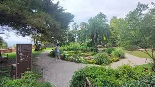 Walking in France フランスを散歩する【4K】Nice and surroundings 1/2
