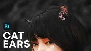 Anime Cat Ears in Real Life • Photoshop Senpai