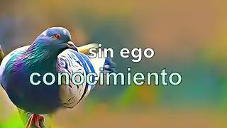 FÁBULA DE LA PALOMA, EL BÚHO Y EL HALCÓN - El ataque del ego, o la Fortaleza del SER