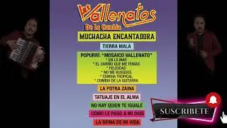 Muchacha Encantadora - Los Vallenatos de la Cumbia