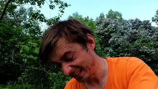 Пчеловод по найму часть вторая. Смотрю что натворил.