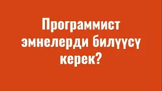 Программист эмнелерди билүүсү керек?