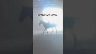 the good and bad footage