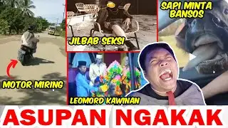 MOTOR MIRING, KAWINAN UNIK, JILBAB TAPI SEKSl, SAPI MINTA BANSOS - ASUPAN NGAKAK